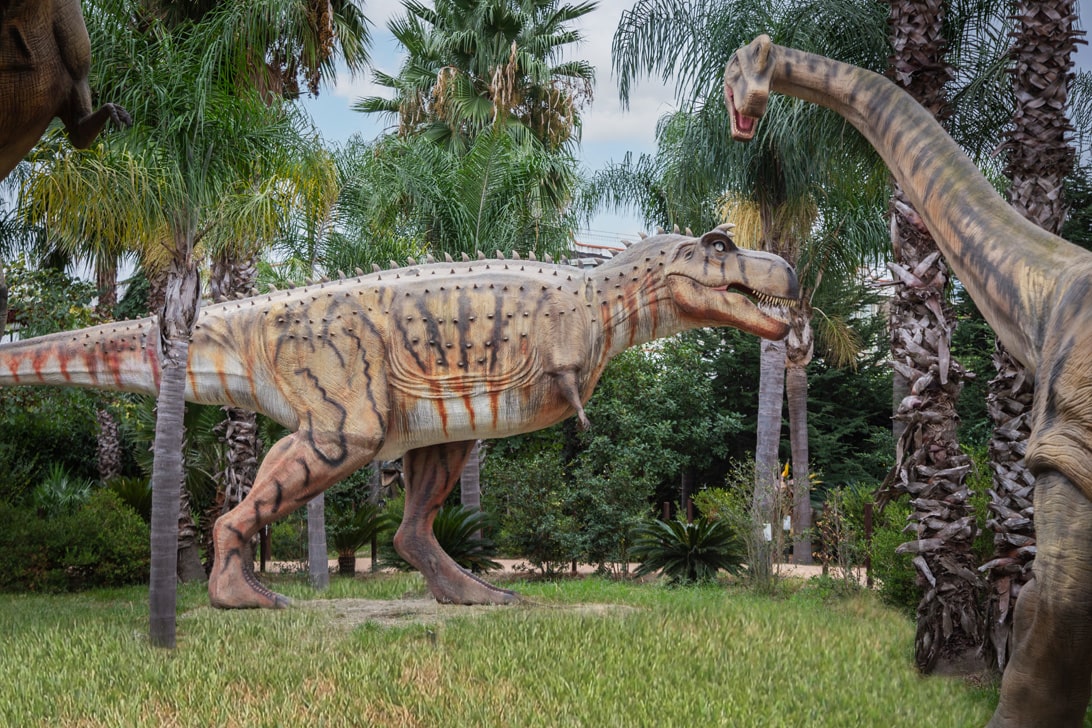 complesso-la-fenice-dinosauria-3