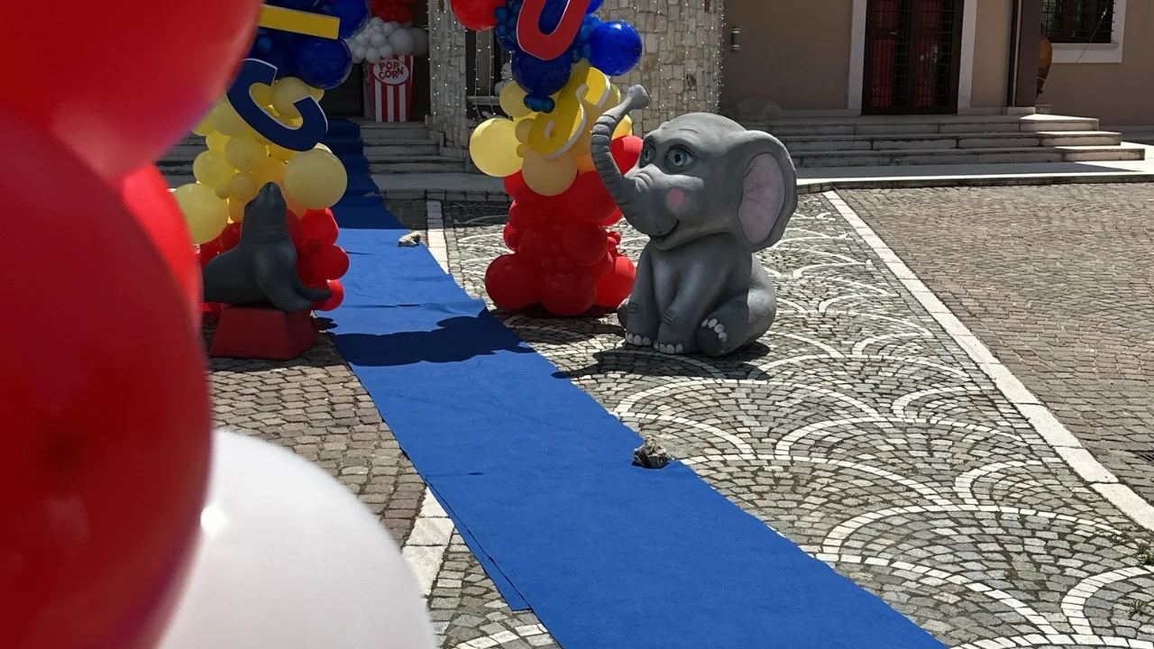 foto pagina cerimonie la fenice (4)